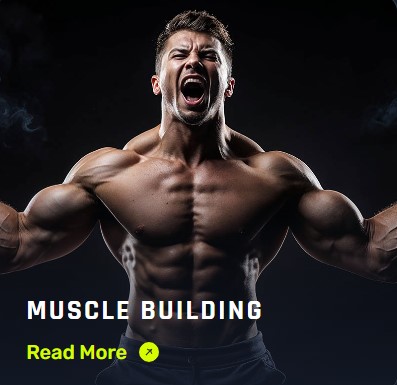 Muscle Building